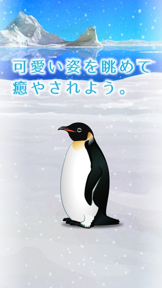 治愈的企鹅育成penguin v1.0 安卓版0