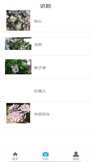 植物伴侶app v1.1 安卓版 1