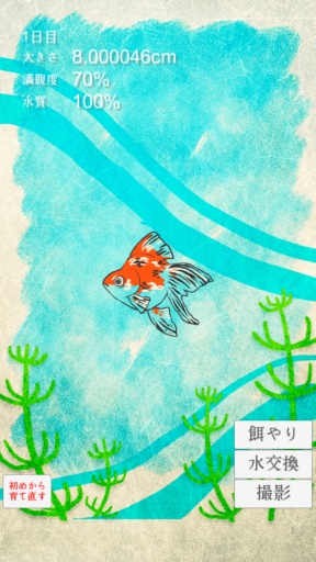 治愈系金鱼养成goldfish v1.3 安卓版0