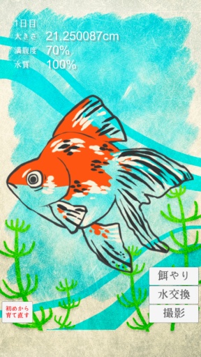 治愈系金鱼养成goldfish v1.3 安卓版2