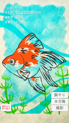 治愈系金魚養(yǎng)成goldfish2