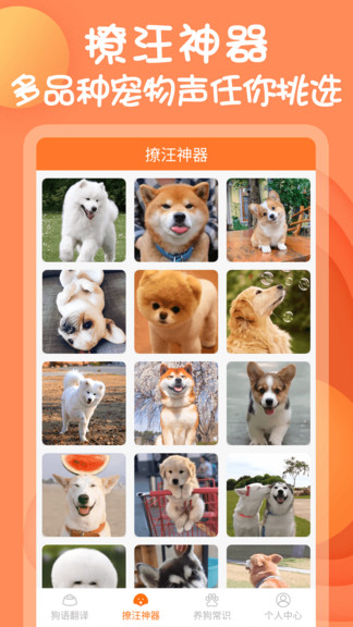 狗狗聊天交流器免费版 v1.0.6 安卓版0