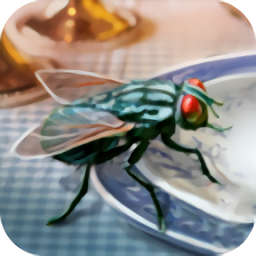 模拟苍蝇生存小游戏