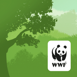 wwf森林探索者