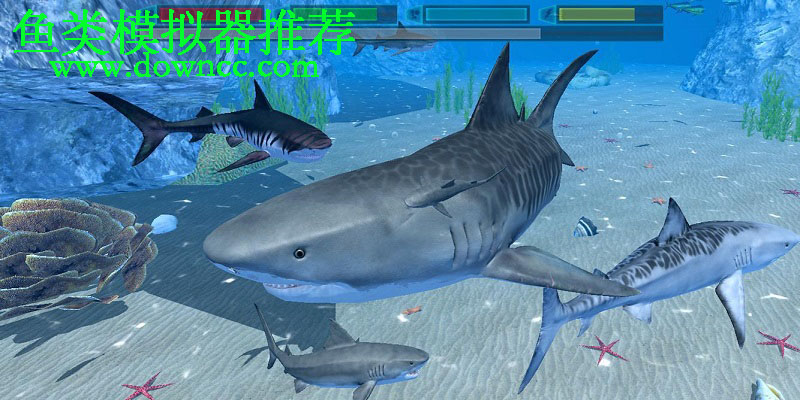 模拟鱼类的游戏-鱼类模拟器游戏-鱼类模拟器大全
