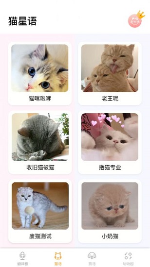 猫语翻译大师最新版 v1.0.1 安卓版2