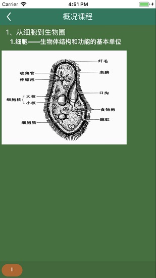 松鼠高中生物 v2.7.6 安卓版1