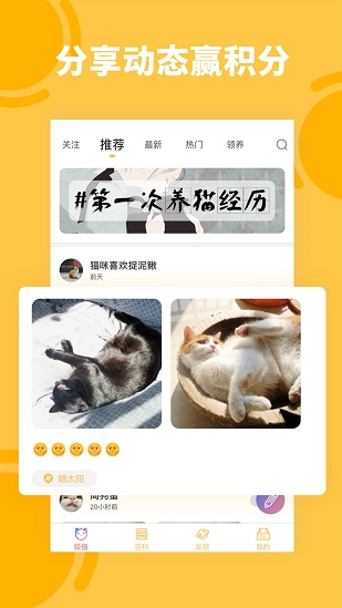 萌翻猫语翻译器助手 v1.0.4 安卓最新版1
