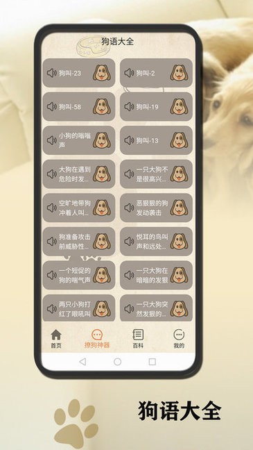 狗语翻译官方 v1.2.7 安卓版3