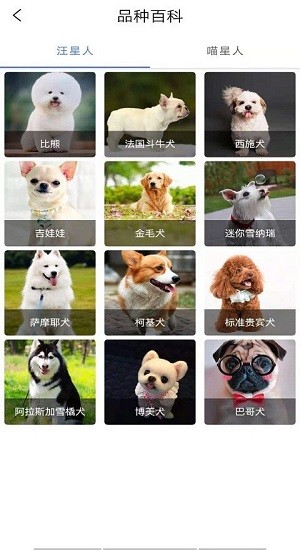 寵物知識(shí)全書(shū)app v1.0 安卓版 1