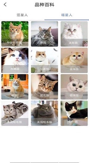 寵物知識(shí)全書(shū)app v1.0 安卓版 2