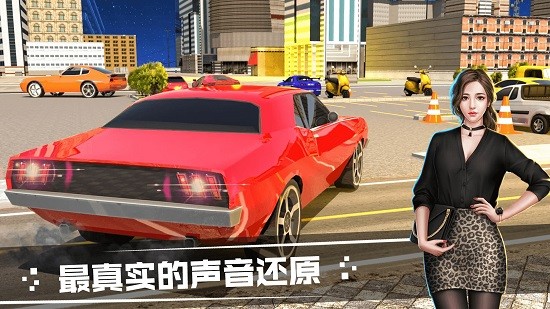 模擬汽車駕駛游戲 v1.1.0 安卓版 1