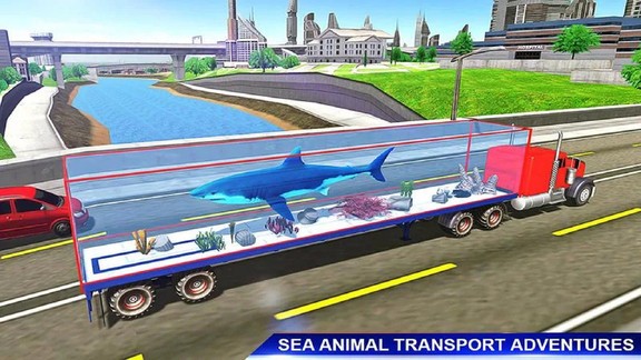 海洋动物运输车 v7 安卓版2