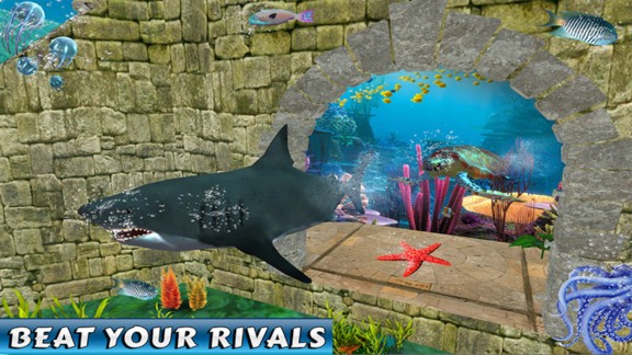 鲨鱼海底赛车 v1.1 安卓版2
