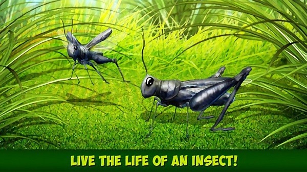 印度蝗虫模拟器手机版(昆虫蚱蜢模拟器) v1.0.0 安卓版0