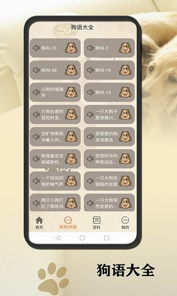 小狗翻译官软件 v1.0.3 安卓版2