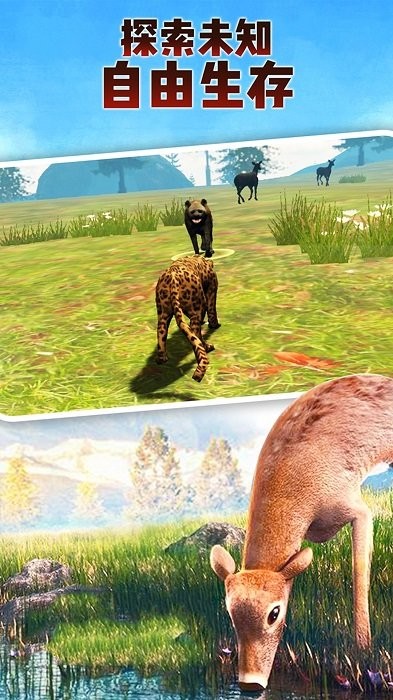 森林动物联盟手游 v1.6 安卓版3