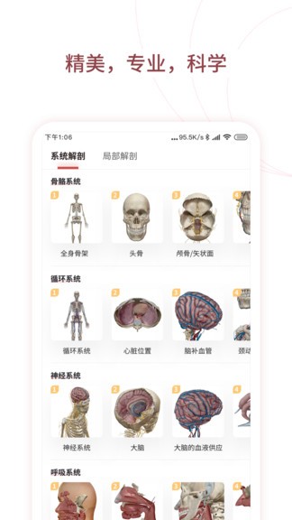 人体解剖3d中文版(口袋人体解剖) v3.0.0 安卓版0