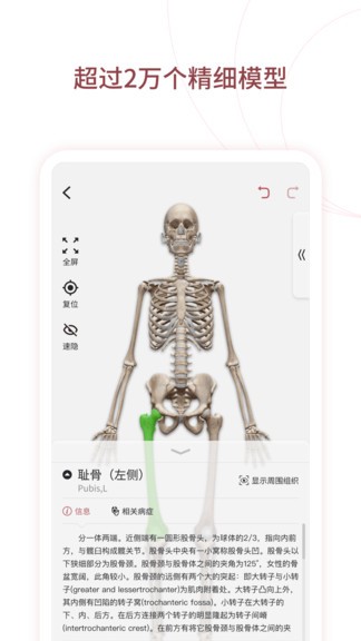 人体解剖3d中文版(口袋人体解剖) v3.0.0 安卓版3