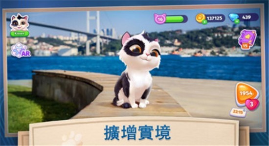 我的可爱猫咪游戏最新版 v1.0.2 安卓版0