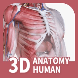 人体解剖3d中文版(口袋人体解剖)
