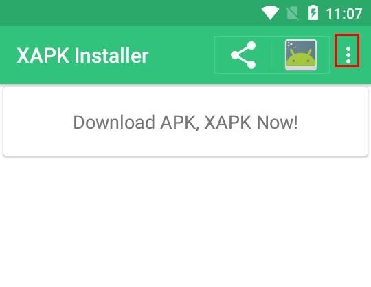 xapk installer手机版(xapk安装器)