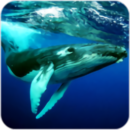 座头鲸模拟器免费版