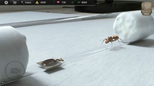 蚂蚁模拟大亨游戏 v1.5.7 安卓版1