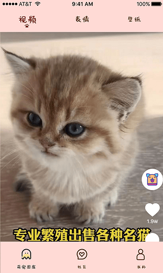 喵喵撸猫社区 v1.0 安卓版0