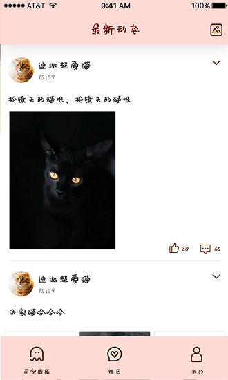 喵喵撸猫社区 v1.0 安卓版3
