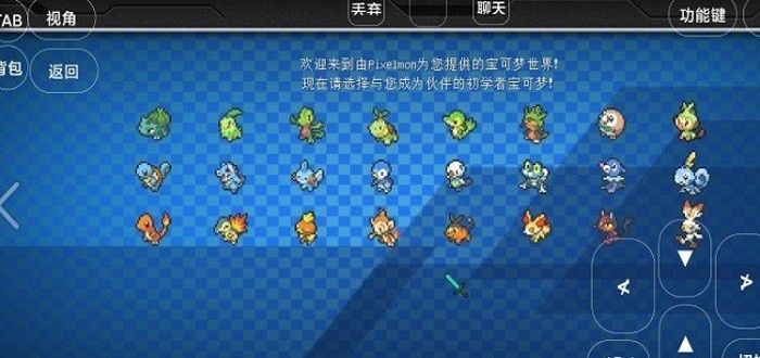 宝可梦世界王国澪 v1.1 安卓版2