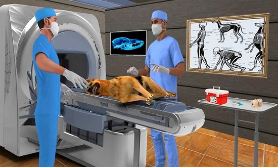 宠物医院模拟器2021年 v188.1.0.3018 安卓版1