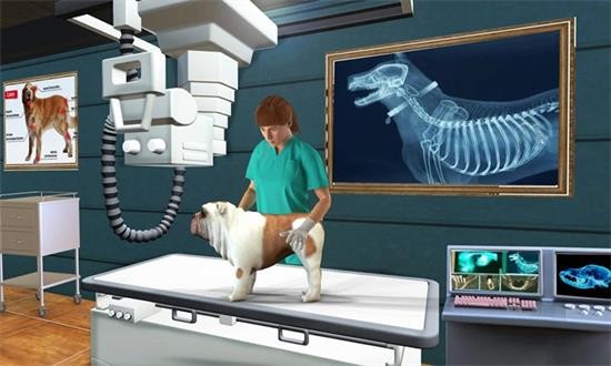 宠物医院模拟器2021年 v188.1.0.3018 安卓版0