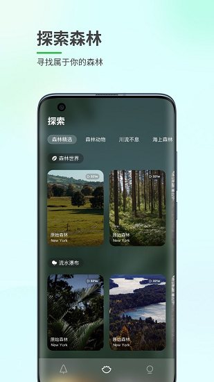 森林白噪音app v1.0.1 安卓版3