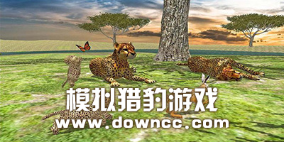 模拟猎豹游戏大全-猎豹模拟器下载-模拟猎豹游戏下载安装