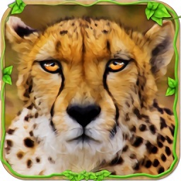 野生猎豹模拟器3d下载