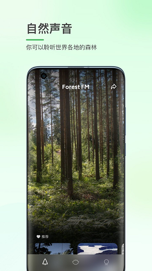 森林白噪音app v1.0.1 安卓版1