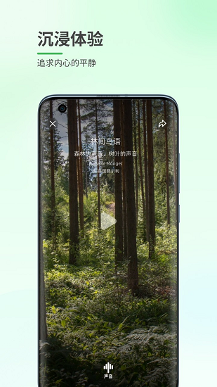 森林白噪音app v1.0.1 安卓版0