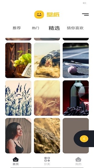 精選主題壁紙 v1.1 安卓版 0
