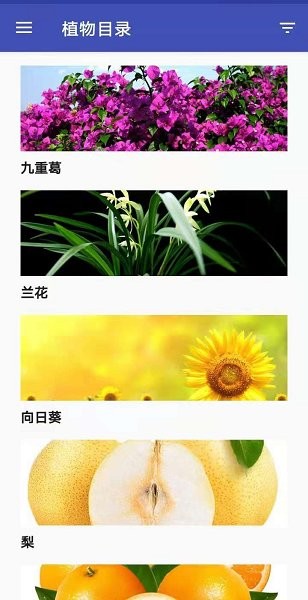 优发官方app v0.1.6 安卓版2