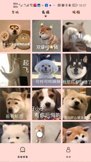 漢克狗app1