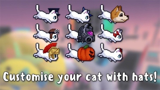泡泡猫跑步游戏 v1.0.14 安卓版2
