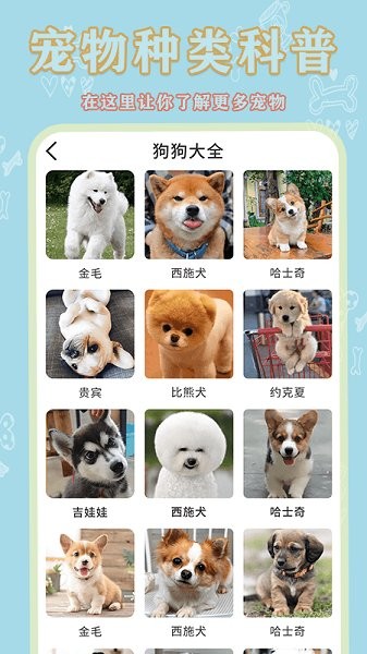 宠物大全app v1.0.3 安卓版2