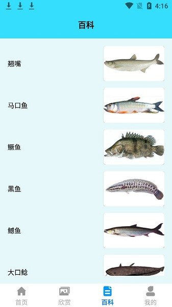 我愛(ài)養(yǎng)魚(yú) v1.1 安卓版 2