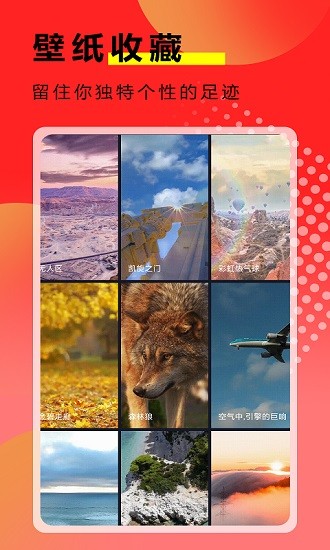 熊猫壁纸大全app v3.0.5 安卓版2