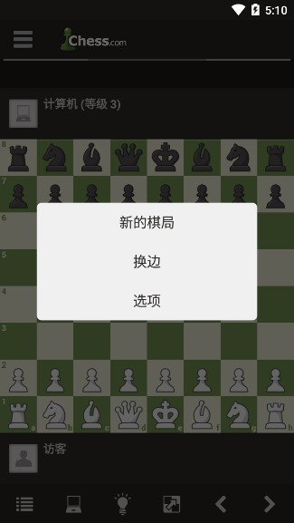 國(guó)際象棋chess中文版1