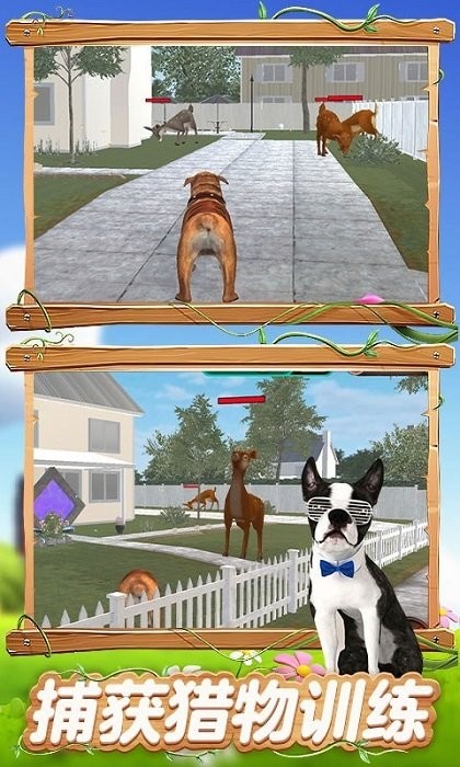 真实狗狗模拟器手游 v1.0.0 安卓版1