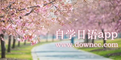自学日语app免费-自学日语比较好的app-自学日语app下载