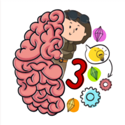 大脑测试3(brain test 3)