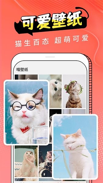 猫翻译app v1.0 安卓版0